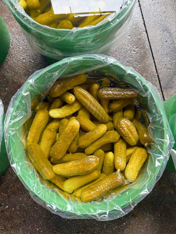 Salatalık Turşusu Kova 10 kg.