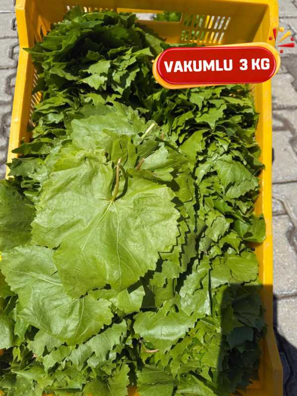 Vakumlu Taze Asma Yaprak 3kg